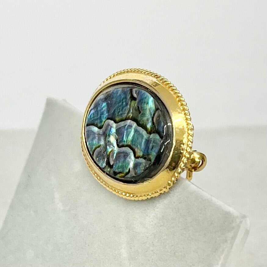 Vintage Exquisite Brooch Oval Abalone Shell in a Gold Tone Setting TheGreenGlassGemShop